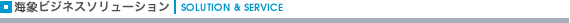 �C�ۃr�W�l�X�\�����[�V���� | SOLUTION �� SERVICE