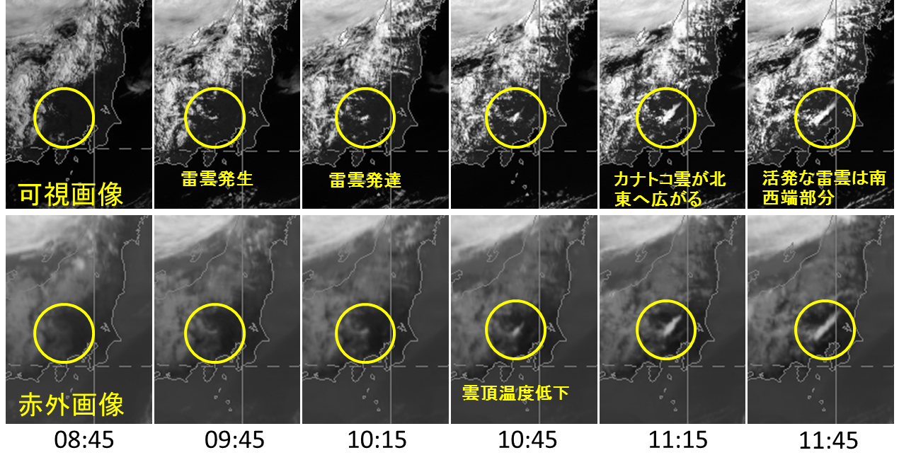 雷雲の発達を追って見る 6月13日東京を雷雲発達通過 株式会社ハレックス