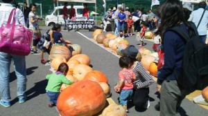 どてかぼちゃカーニバル 株式会社ハレックス