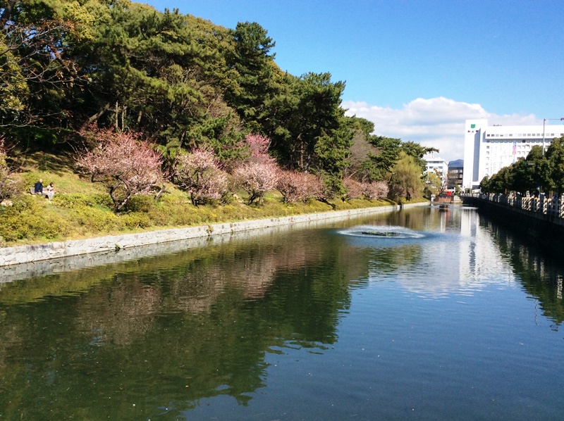 松山城のお堀