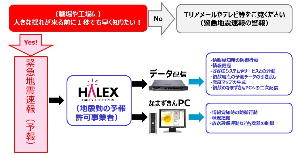 なまずきん20200707-1