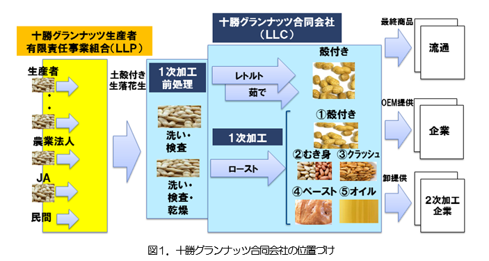 グランナッツ図１