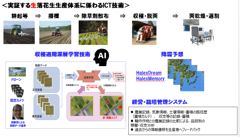 グランナッツ図【別紙2】