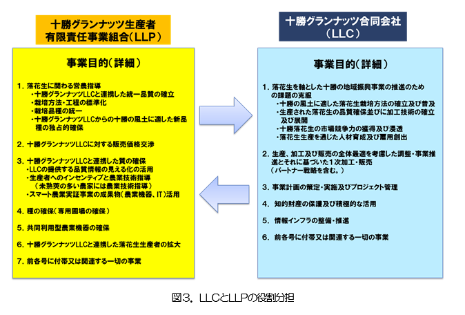 グランナッツ図3